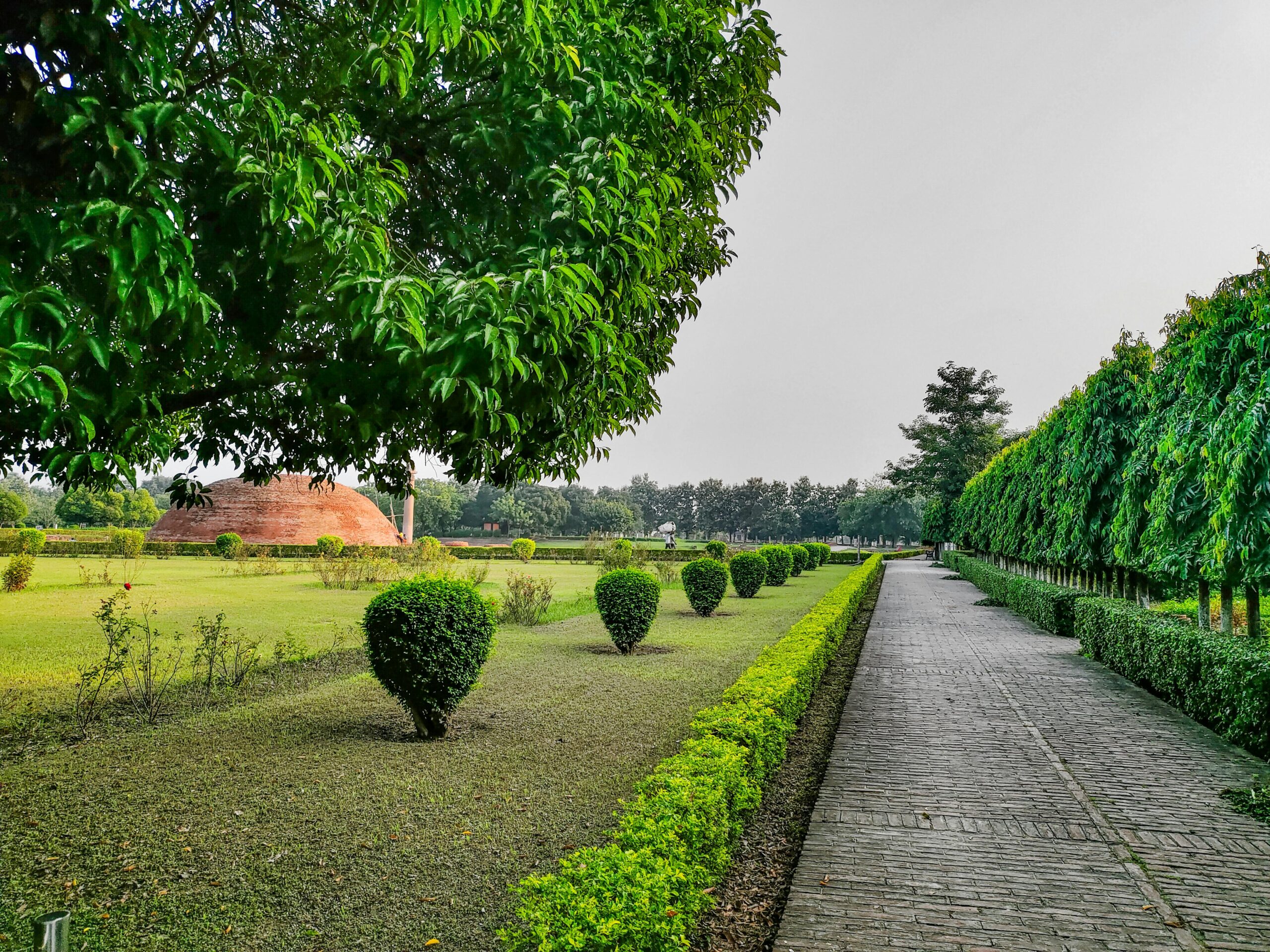 Zero-Waste Living in Indian Homes — 10 Practical Swaps to Start Now